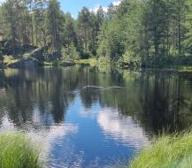 Mökkilampi Tuuri-Tammela